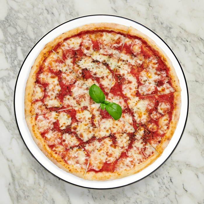 Large 1-Topping Pizza